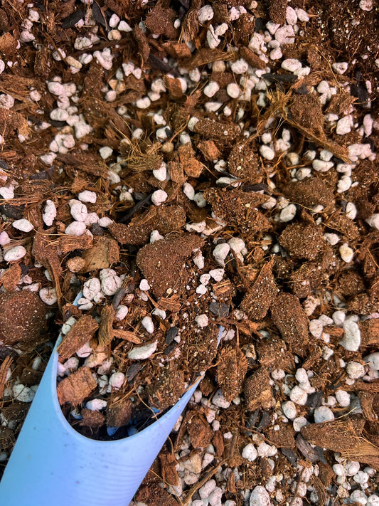 Hoya Blend Premium Soilless Mix