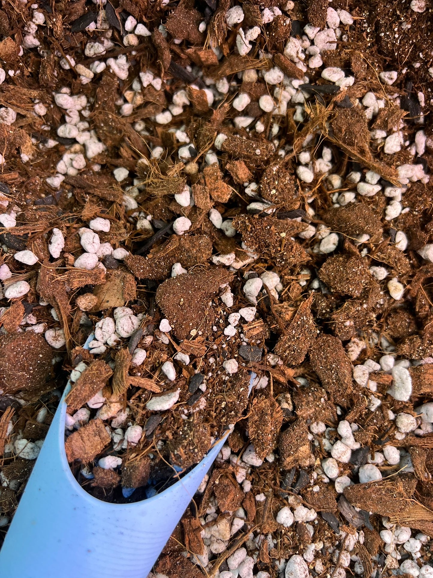 Hoya Blend Premium Soilless Mix