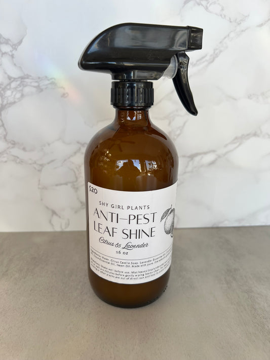 Citrus & Lavendar Anti-Pest Leaf Shine (16 oz)